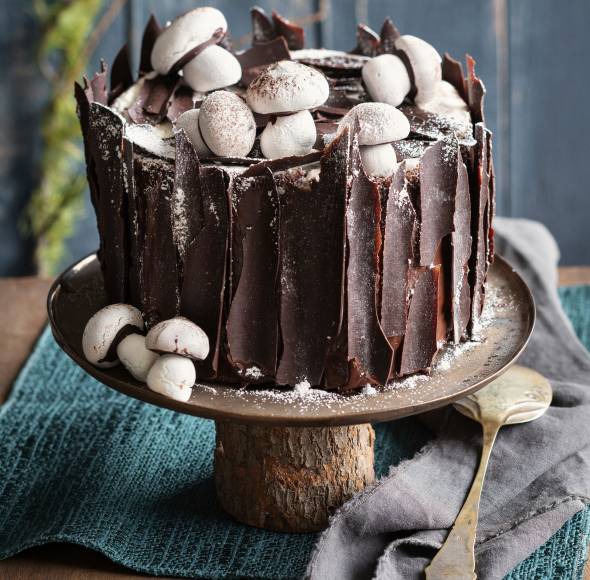 Torte mit feiner Schokoladenborke