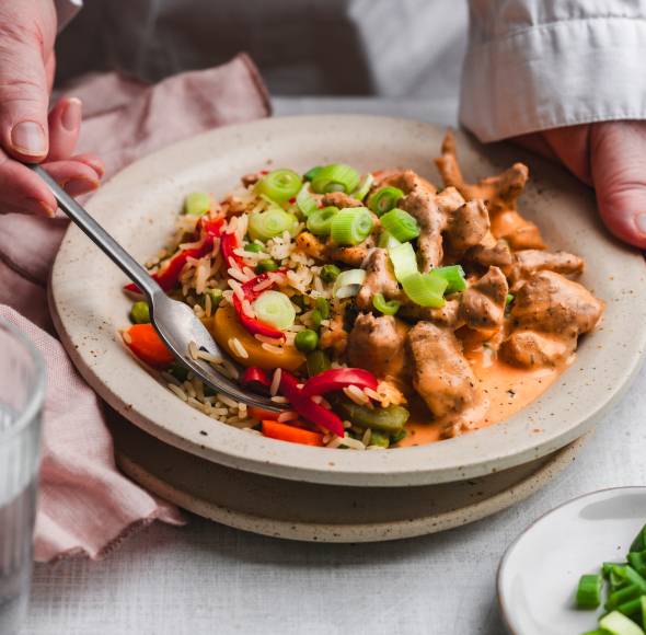 Gyros mit 3-Paprika-Reis