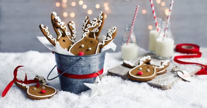 Rudolph-Lebkuchen-Geschenkanhänger