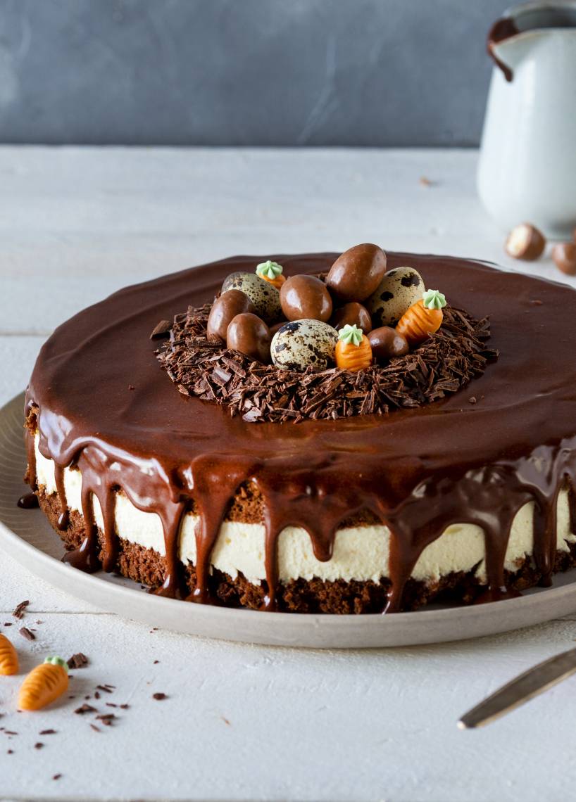 Oster Drip-Cake