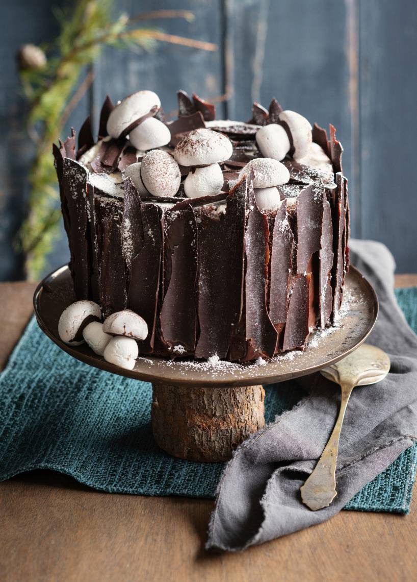 Torte mit feiner Schokoladenborke